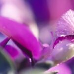 赏金女王app下载的用户反馈与真实案例分享 0lytc7qap