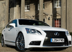 赏金女王的工作方式：灵活与高效的结合