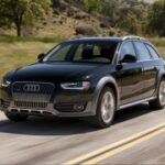 赏金女王与团队合作:如何实现共赢 gp4e1qk