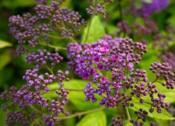 赏金女王的影响力:如何在行业中树立威望