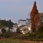 赏金大对决:胜利者的荣耀与背后的付出 nw849ddgg