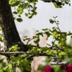 赏金女王的创新思维:如何在工作中突破常规 zh9scu