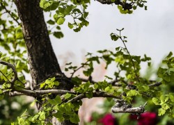 赏金女王的创新思维：如何在工作中突破常规